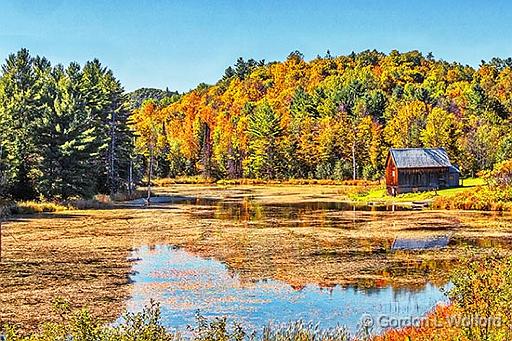 Canadian Shield Autumnscape_P1190234-6.jpg - Photographed near Brightside, Ontario, Canada.